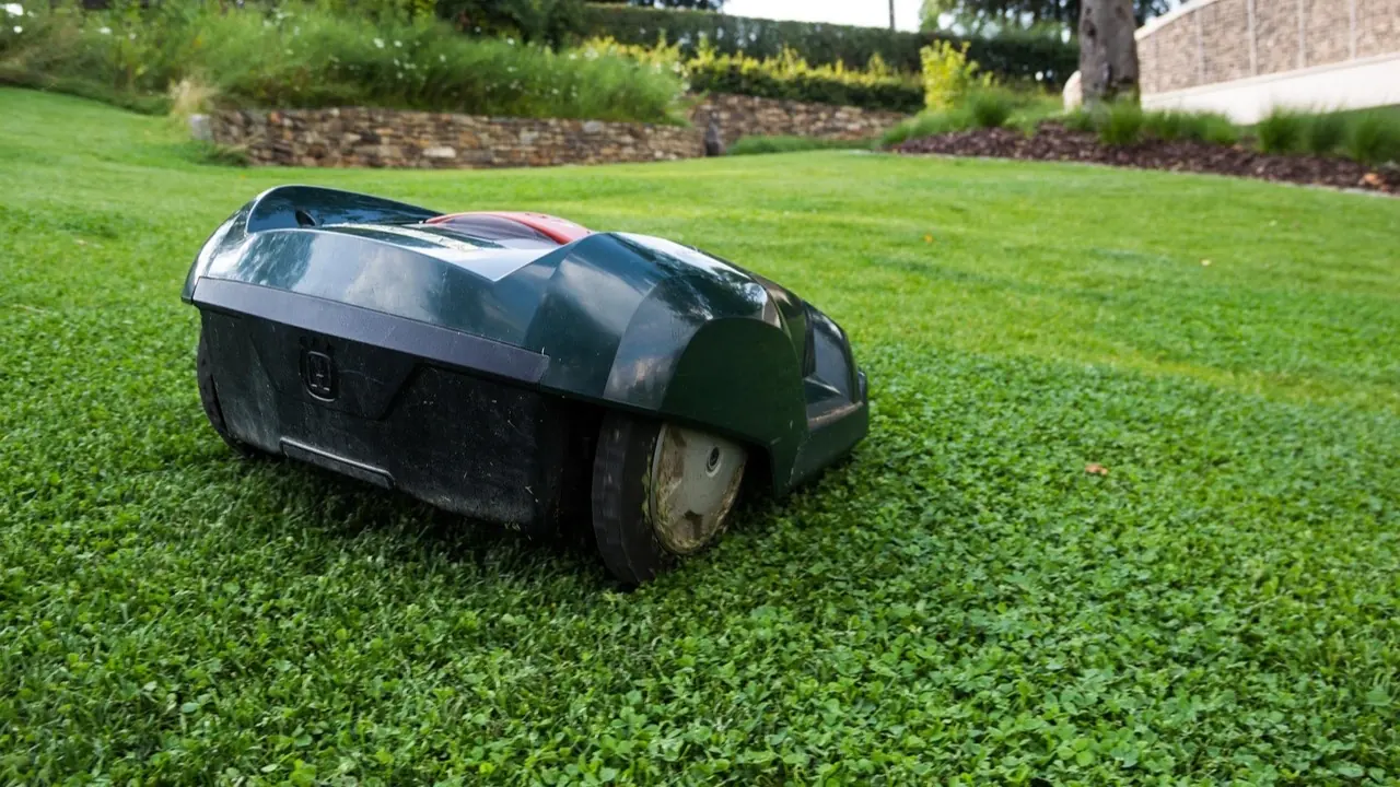 Robot tondeuse vert foncé à l'arrêt sur une pelouse rase bordée d'un muret de pierre, à quelle heure faire tondre son robot tondeuse