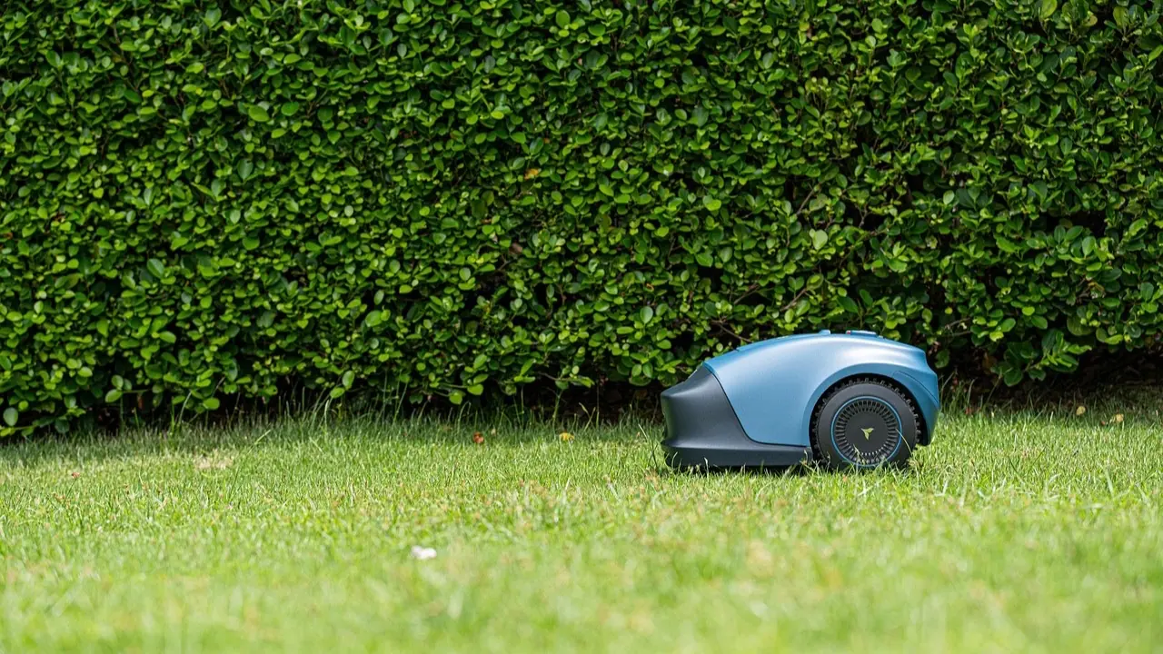 Robot tondeuse bleu et gris à l'arrêt sur une pelouse tondue, devant une haie taillée