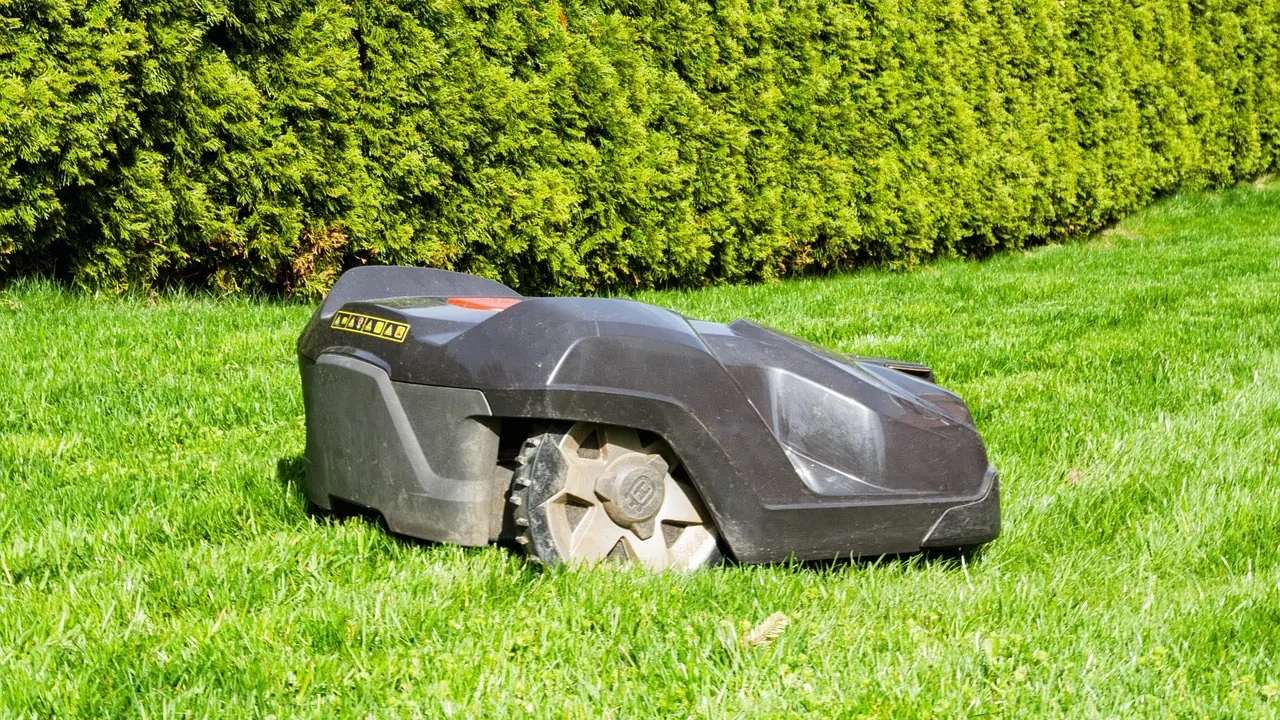 Robot tondeuse gris foncé arrêté sur une pelouse verte devant une haie de thuyas