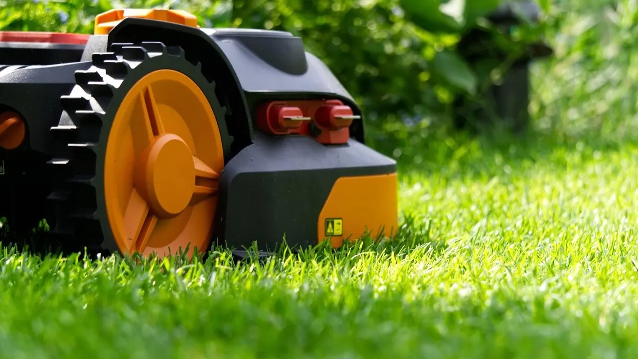 Minuterie adaptative robot tondeuse : gros plan au ras du gazon sur la roue orange crantée et la coque noire d'un robot de tonte