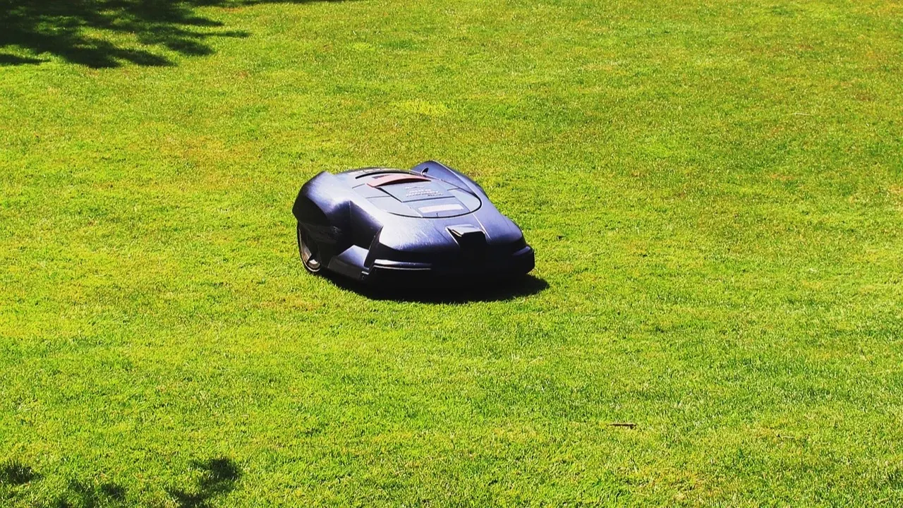 Robot de tonte noir seul au milieu d'une grande pelouse verte tondue ras, vu de trois quarts en hauteur
