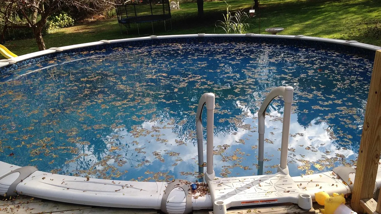 Piscine hors-sol entièrement recouverte de feuilles mortes flottant à la surface, dans un jardin en automne