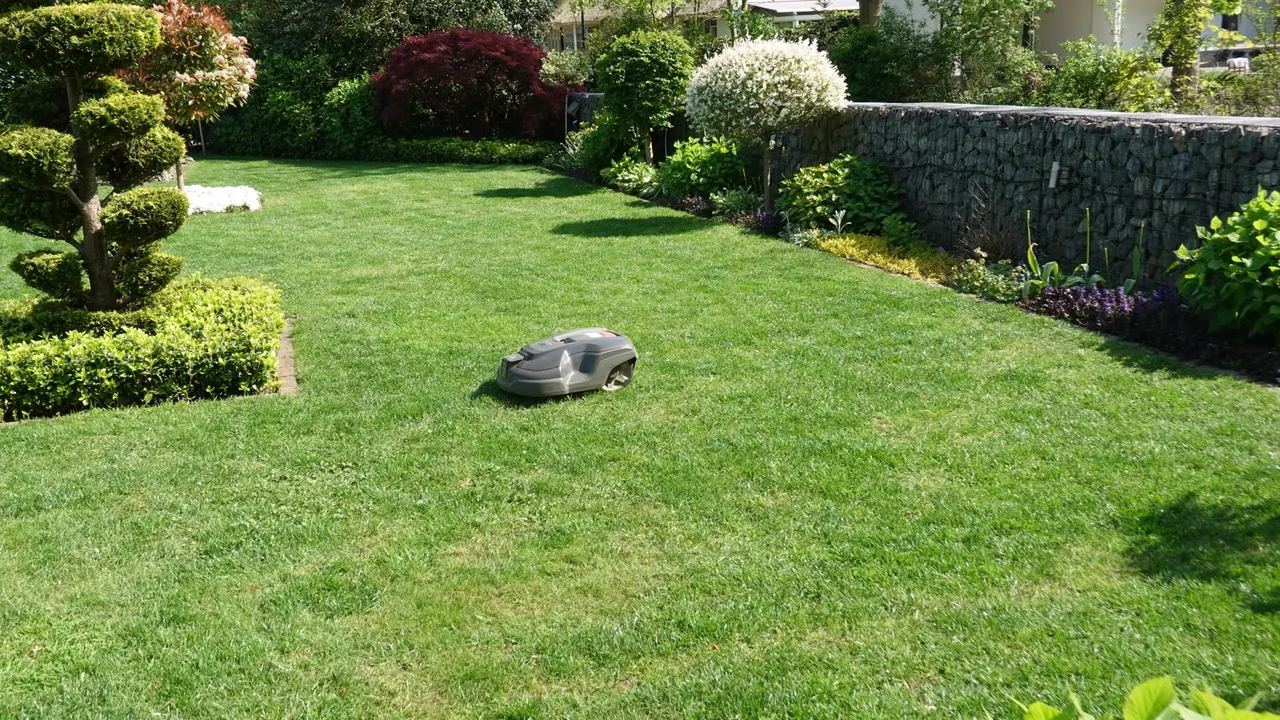 Robot tondeuse en train de tondre la pelouse d'un jardin paysager entretenu